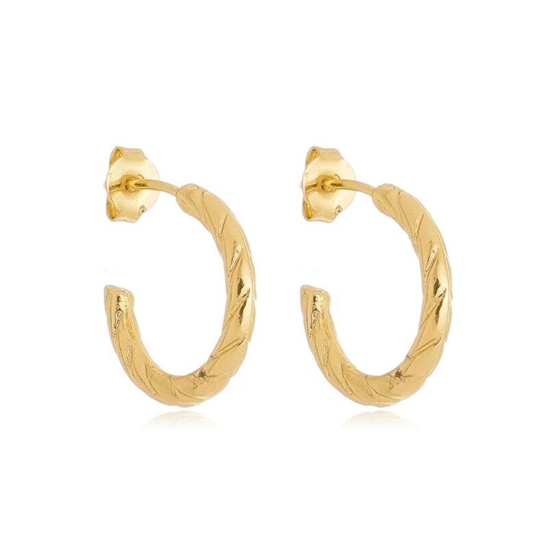 Brinco Argola Pequena Banhado a Ouro 18k